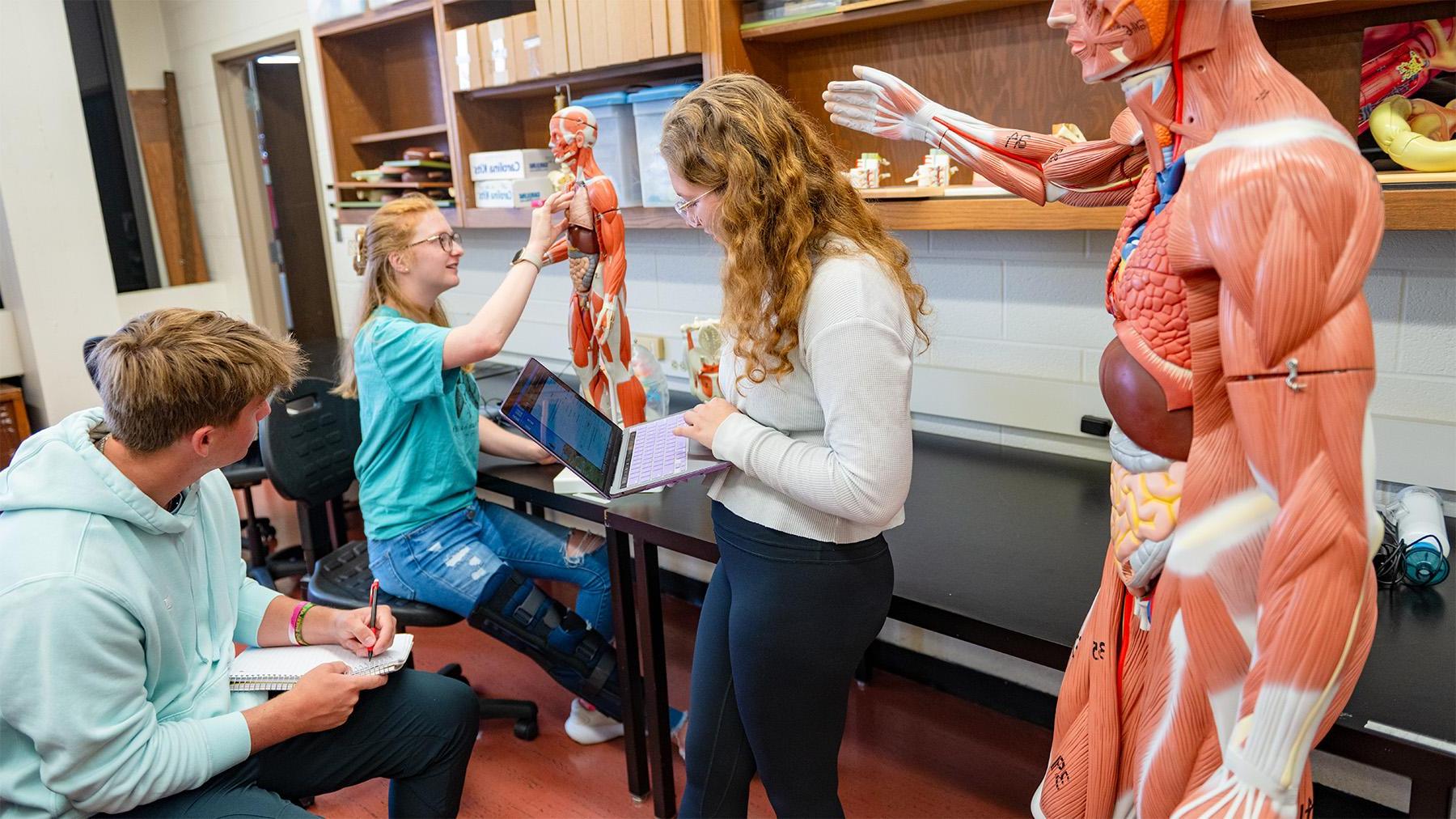 Students working in the biology lab